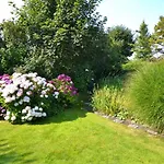 Moewennest