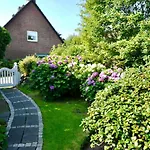 Moewennest