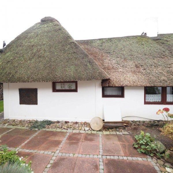 Moewennest